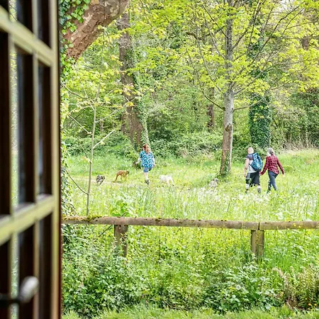 Maison De Charme à Proximité De Pau - 3 - 6 P - Jardin Villa