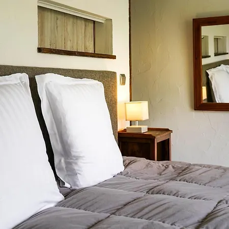 Villa Maison De Charme à Proximité De Pau - 3 - 6 P - Jardin